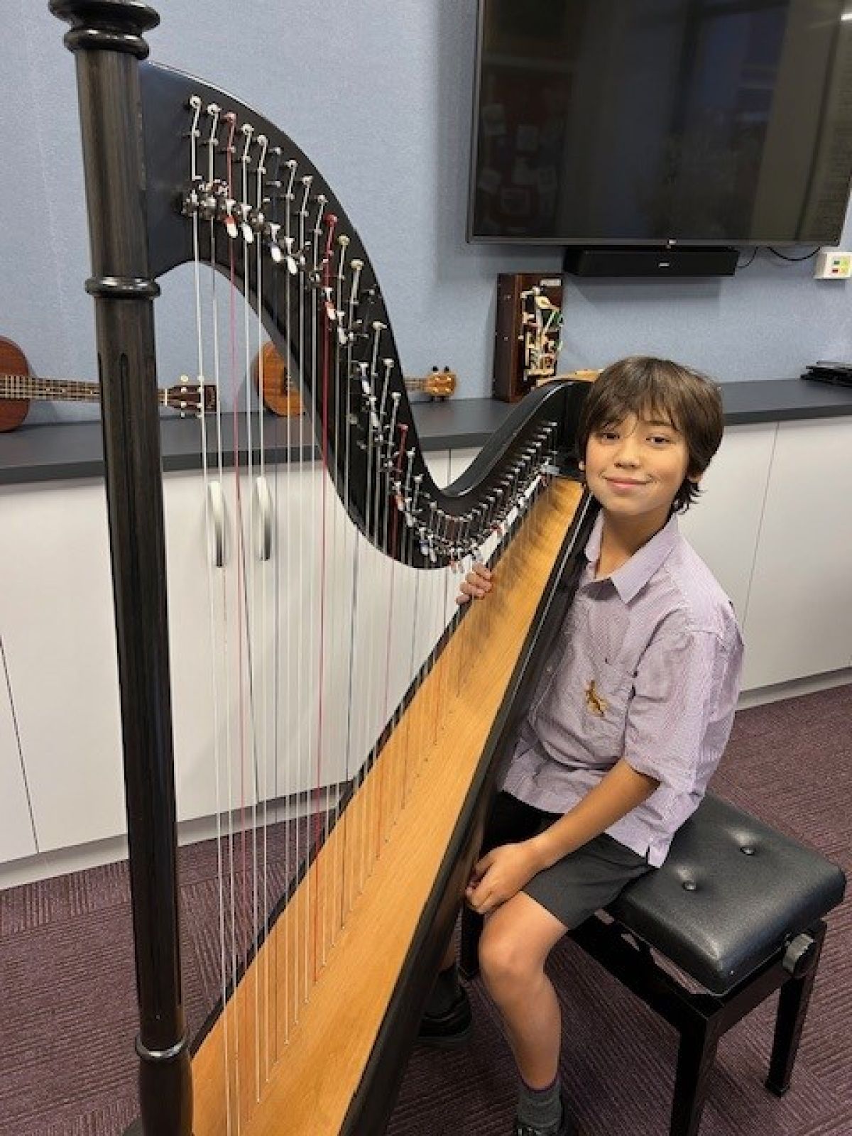Harp at Wesley College