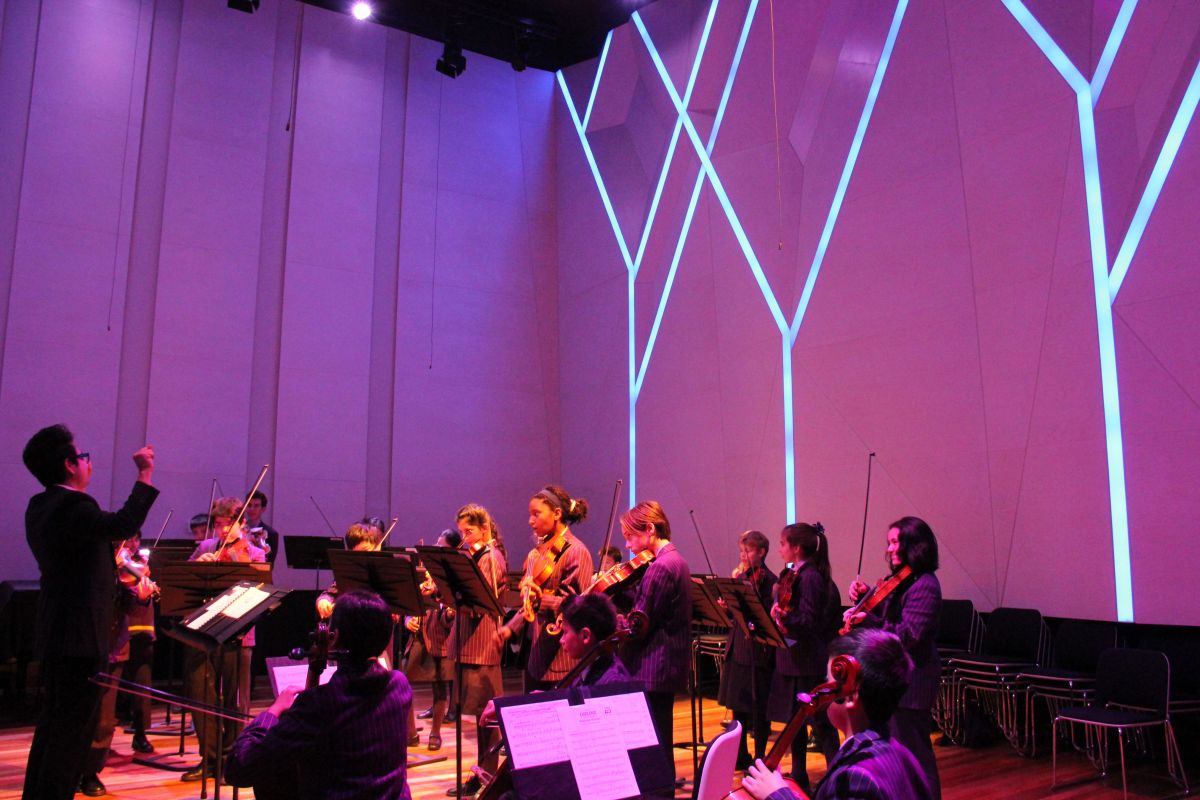 A group of students playing instruments from the orchestra