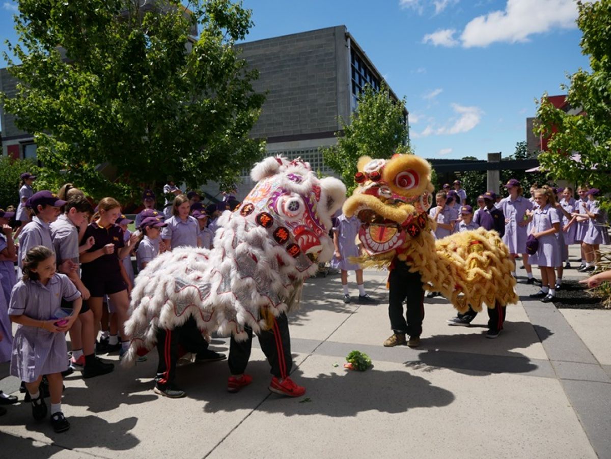 Chinese New Year Glen Waverley Celebration