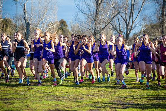 Cross country champions