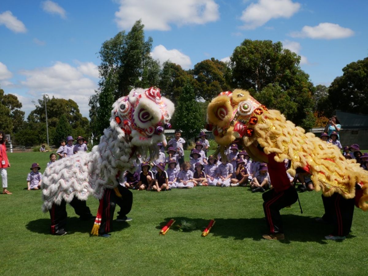 Chinese New Year Glen Waverley Celebration