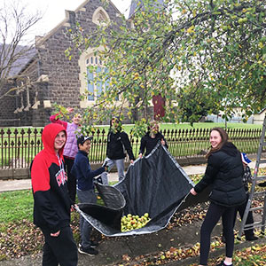 A group of students collecting apples