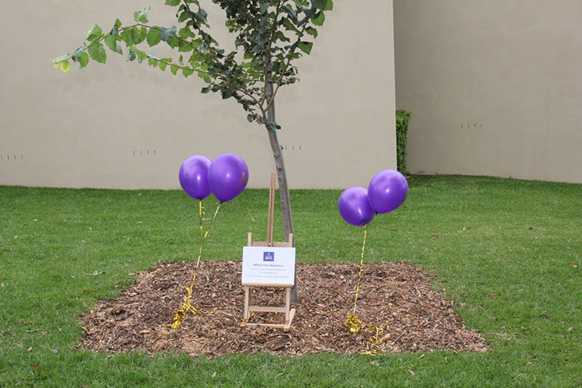 Glen Waverley's Golden Jubilee