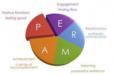 PERMA pie diagram, Positive Emotions (feeling good), Engagement, Relationships (authentic connections), Meaning (purposeful existence) and Achievement (a sense of accomplishment)