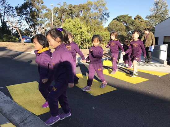 Zebra Crossing Project