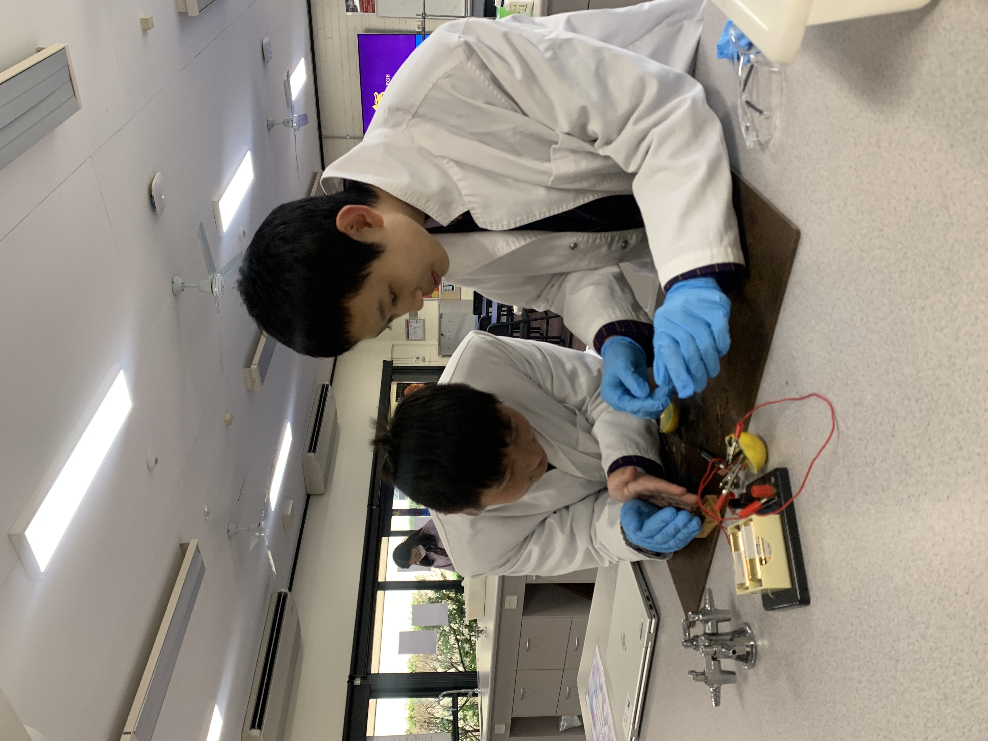 Two students in lab coats experiment with lemons and batteries in the Science lab