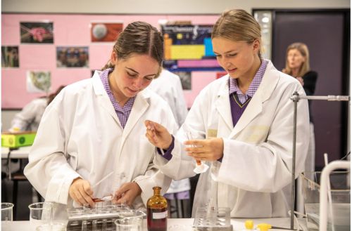 Students in lab