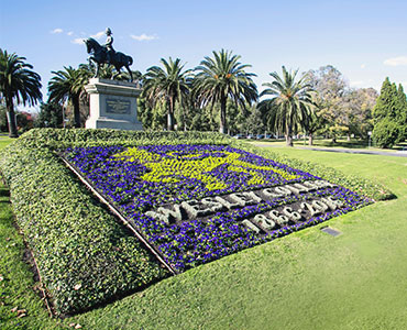 The Marquis of Linlithgow flower bed