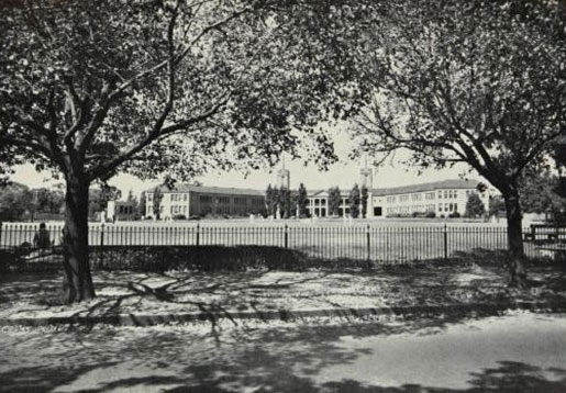 Iron picket fence at the St Kilda Road campus