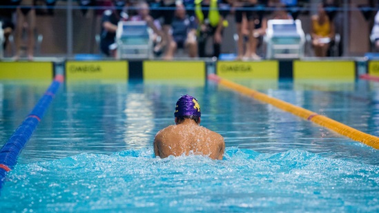 Divers and swimmers pool their effort
