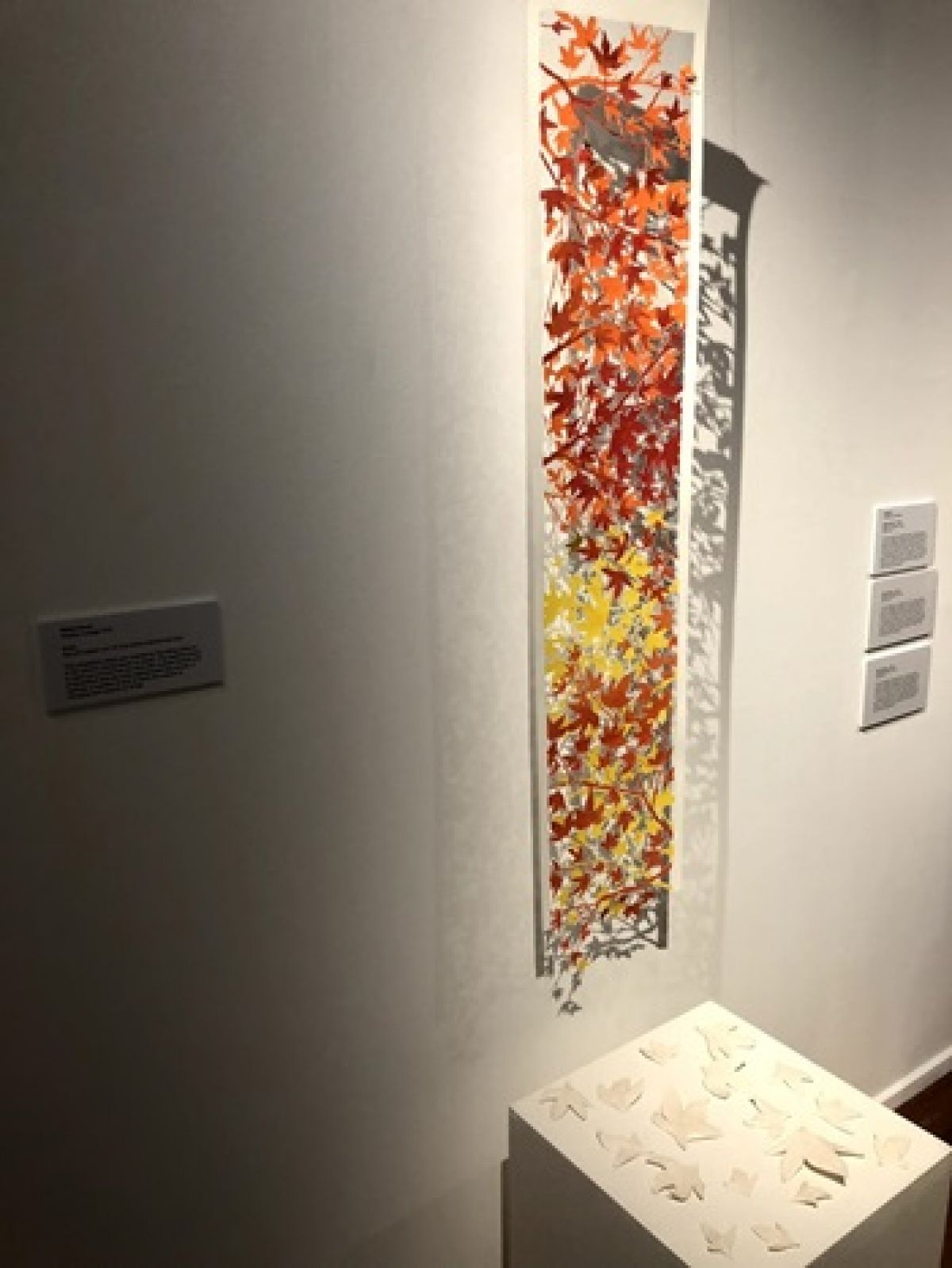 IB DP Visual Arts Exhibition