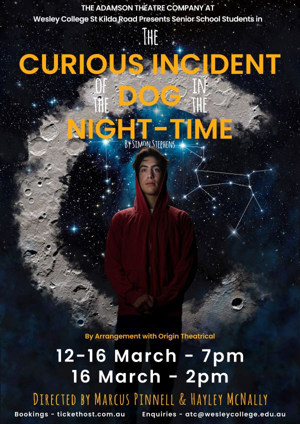 The Curious Incident of the Dog in the Night-time