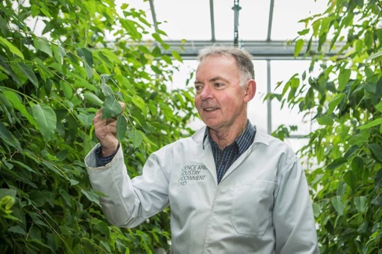 Australian of the Year Professor Graham Farquhar AO